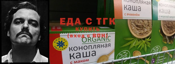 дурь Тайга