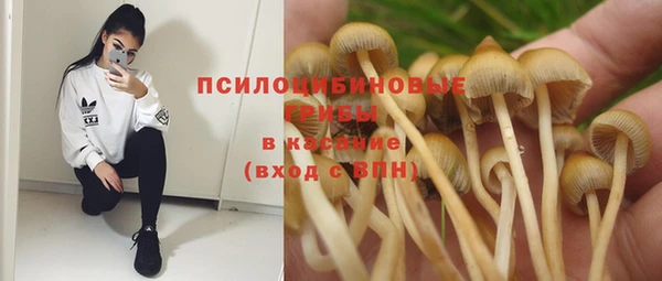 спайс Почеп