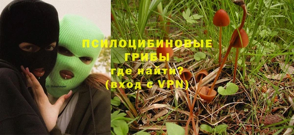 дурь Тайга