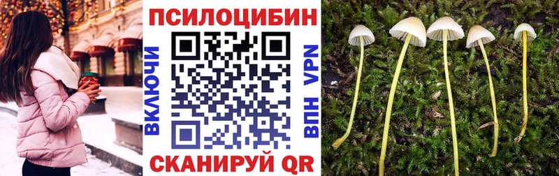 Галлюциногенные грибы Psilocybine cubensis  где найти наркотики  нарко площадка состав  Севастополь 