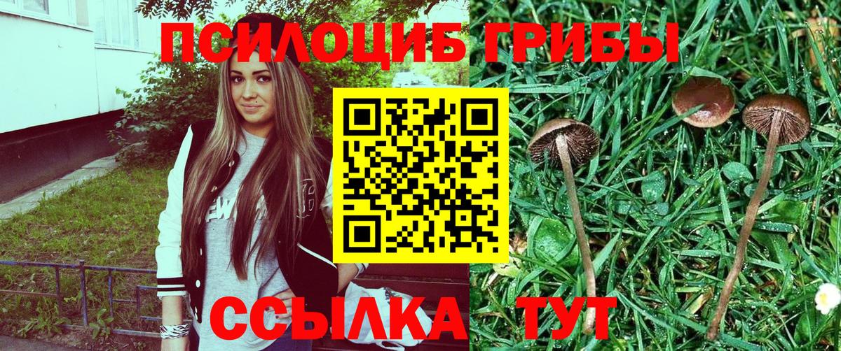 Псилоцибиновые грибы мухоморы Севастополь