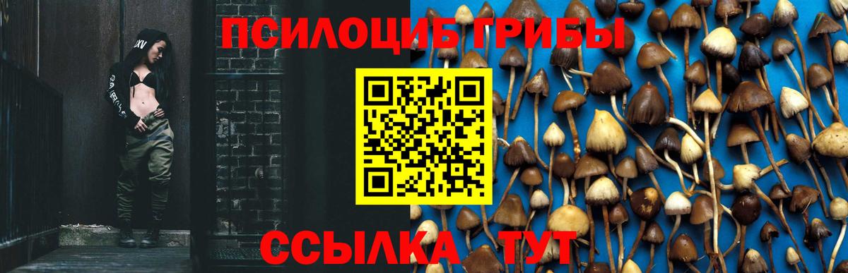 Псилоцибиновые грибы MAGIC MUSHROOMS  Севастополь 